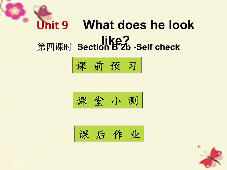 人教版七年级下册 Unit 9 What does he look like_ Section B 课件01