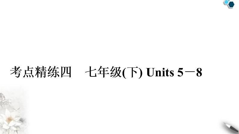 人教版中考英语复习考点精练四七年级(下)Units5－8作业课件第1页