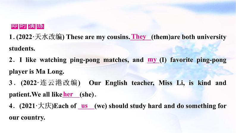 人教版中考英语复习语法专题突破二代词教学课件第8页