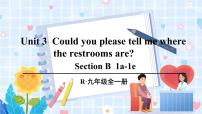初中英语人教新目标 (Go for it) 版九年级全册Section B图片ppt课件