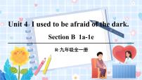 人教新目标 (Go for it) 版九年级全册Section B课文内容ppt课件