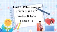 初中英语人教新目标 (Go for it) 版九年级全册Section B课文配套课件ppt