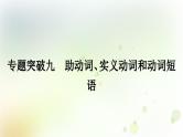 课标版中考英语复习专题突破九助动词、实义动词和动词短语作业课件