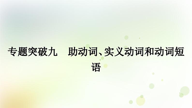 课标版中考英语复习专题突破九助动词、实义动词和动词短语作业课件01