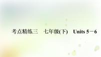 课标版中考英语复习考点精练三七年级(下)Units5－6作业课件