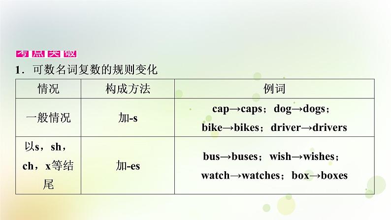 课标版中考英语复习语法专题突破一名词教学课件04