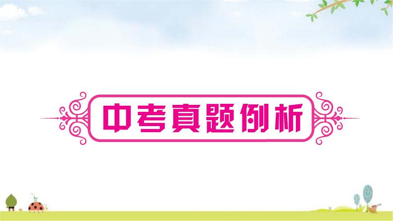 课标版中考英语复习题型专题二类型一一般选择型教学课件第4页