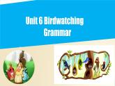 Unit 6 Grammar（课件）牛津译林版八年级英语上册