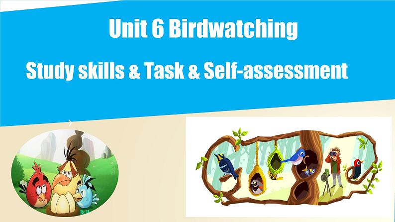 Unit 6 Study skills & Task & Self-assessment（课件）牛津译林版八年级英语上册第1页