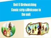 Unit 6 Comic & Welcome（课件）牛津译林版八年级英语上册