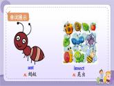 Unit 4 Section B 1a~1e（课件PPT+音视频素材）