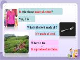 Unit 5 Section A Grammar Focus~4c（课件PPT+音视频素材）