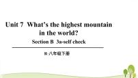 人教新目标 (Go for it) 版八年级下册Unit 7 What’s the highest mountain in the world?Section B教学课件ppt