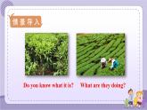 Unit 6 Section A 3a~3c（课件PPT+音视频素材）