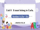 Unit 8 Section A 3a~3c（课件PPT+音视频素材）
