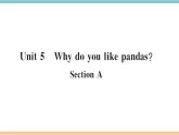 5.Unit5课件PPT
