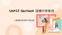 初中人教新目标 (Go for it) 版Section A精品ppt课件