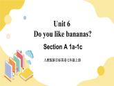 人教版七上英语  Unit 6 Section A 1a-1c  课件+教案