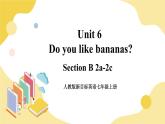 人教版七上英语  Unit 6 Section B 2a-2c  课件+教案