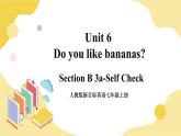 人教版七上英语  Unit 6 Section B 3a-Self Check  课件+教案