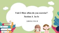 人教新目标 (Go for it) 版八年级上册Unit 2 How often do you exercise?Section A优秀ppt课件