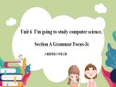 Unit6 SectionA(grammar focus-3c)课件 人教版英语八上