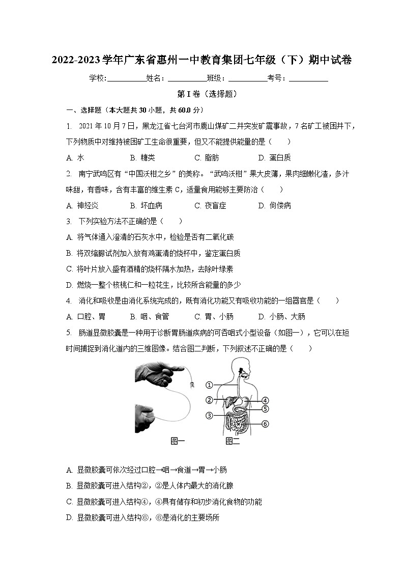 2022-2023学年广东省惠州一中教育集团七年级（下）期中试卷（含解析）第1页