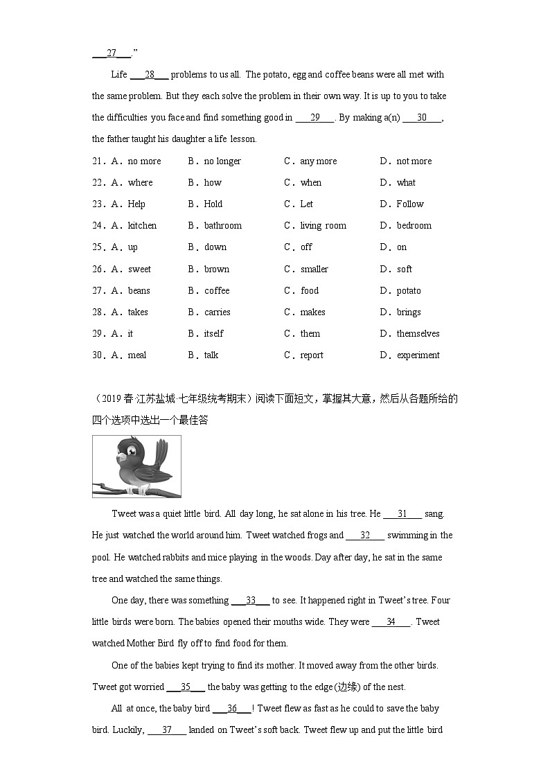 江苏省近3年七年级下学期英语期末汇编-完形填空（18篇）Ⅴ第3页