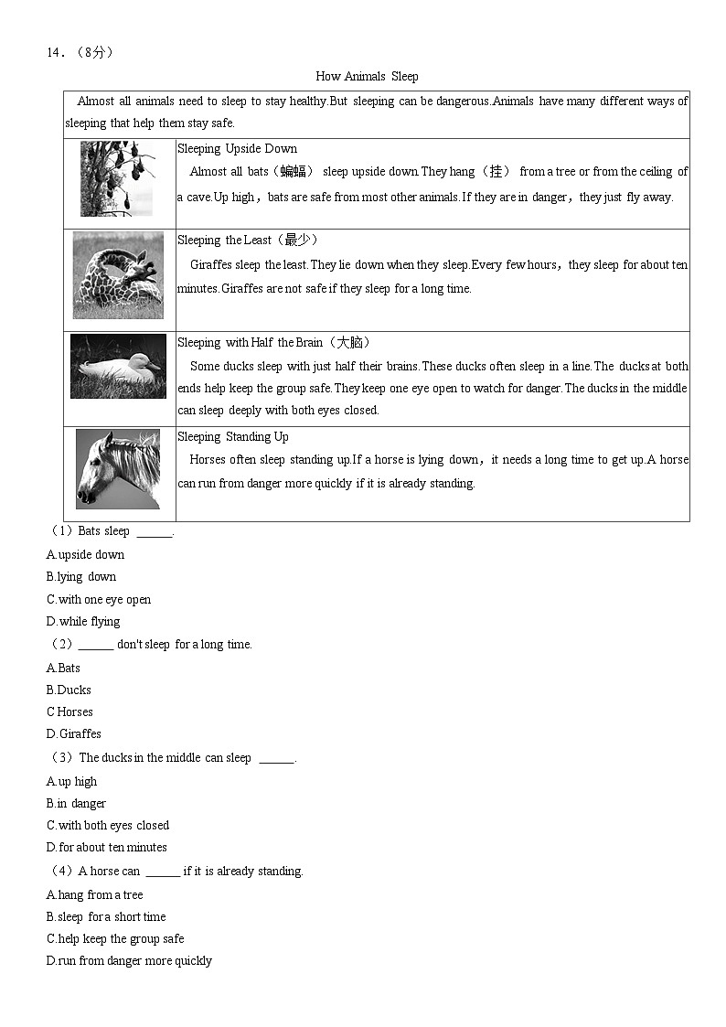 2020北京朝阳初一（下）期末英语（教师版） 试卷03