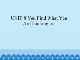 教科版（五四制）英语九年级下册 UNIT 8 You Find What You Are Looking for    课件
