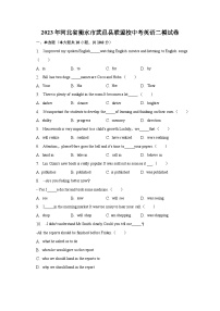 2023年河北省衡水市武邑县联盟校中考英语二模试卷