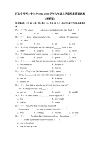 河北省邯郸二十三中2022-2023学年九年级上学期期末英语试卷