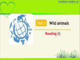 牛津译林版八年级英语上册Unit 5 Wild animals Reading (I) 示范公开课教学课件