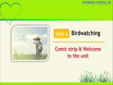 牛津译林版八年级英语上册Unit 6 Birdwatching Comic strip & Welcome to the unit 示范公开课教学课件