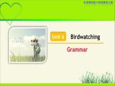 牛津译林版八年级英语上册Unit 6 Birdwatching Grammar示范公开课教学课件