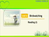 牛津译林版八年级英语上册Unit 6 Birdwatching Reading (I) 示范公开课教学课件