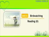 牛津译林版八年级英语上册Unit 6 Birdwatching Reading (II) 示范公开课教学课件
