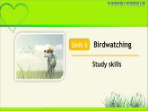 牛津译林版八年级英语上册Unit 6 Birdwatching Study skills 示范公开课教学课件