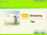 牛津译林版八年级英语上册Unit 6 Birdwatching Task 示范公开课教学课件