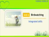 牛津译林版八年级英语上册Unit 6 Birdwatching Integrated skills 示范公开课教学课件