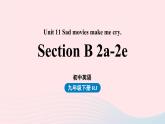 2023九年级英语全册Unit11Sadmoviesmakemecry第5课时SectionB2a_2e上课课件新版人教新目标版