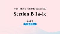 初中人教新目标 (Go for it) 版Section B备课ppt课件