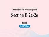 2023九年级英语全册Unit12Lifeisfulloftheunexpected第5课时SectionB2a_2e上课课件新版人教新目标版
