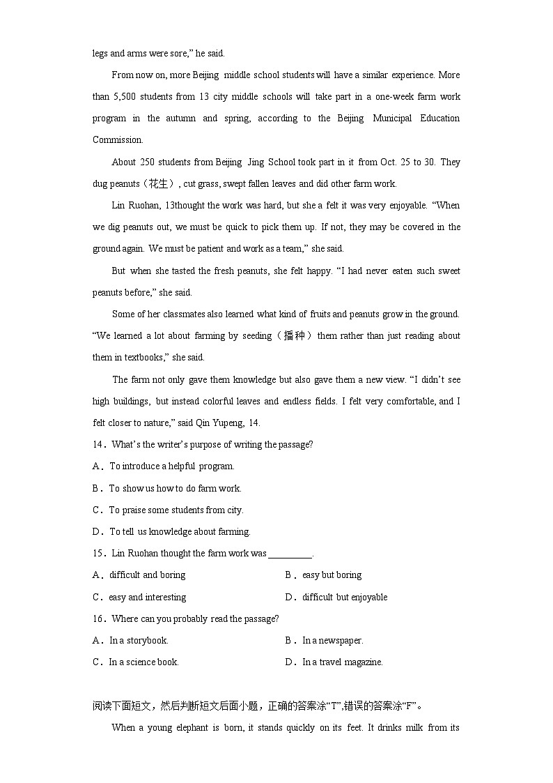 2023年山东省枣庄市中考英语真题（无答案）03