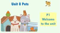 英语Unit 8 PetsWelcome to the unit背景图ppt课件