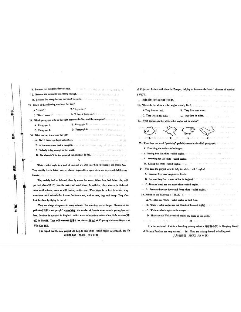 河南省邓州市2022-2023学年八年级下学期期末考试英语试卷第3页