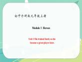 Module 3 Unit 1——课件 外研版九年级英语上册