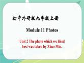 Module 11 Unit 2——課件 外研版九年級(jí)英語(yǔ)上冊(cè)