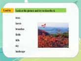 Module 11 Unit 2——課件 外研版九年級(jí)英語(yǔ)上冊(cè)