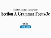 人教新目标七年级英语上册--Unit5第二课时（Section A Grammar Focus-3c）（精品课件）
